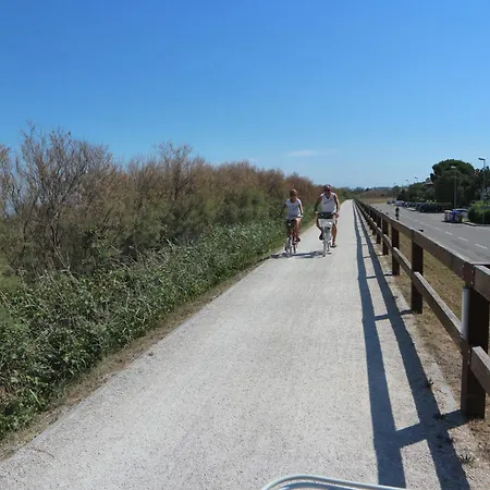 Apartament Michelangelo Sabbiadoro *